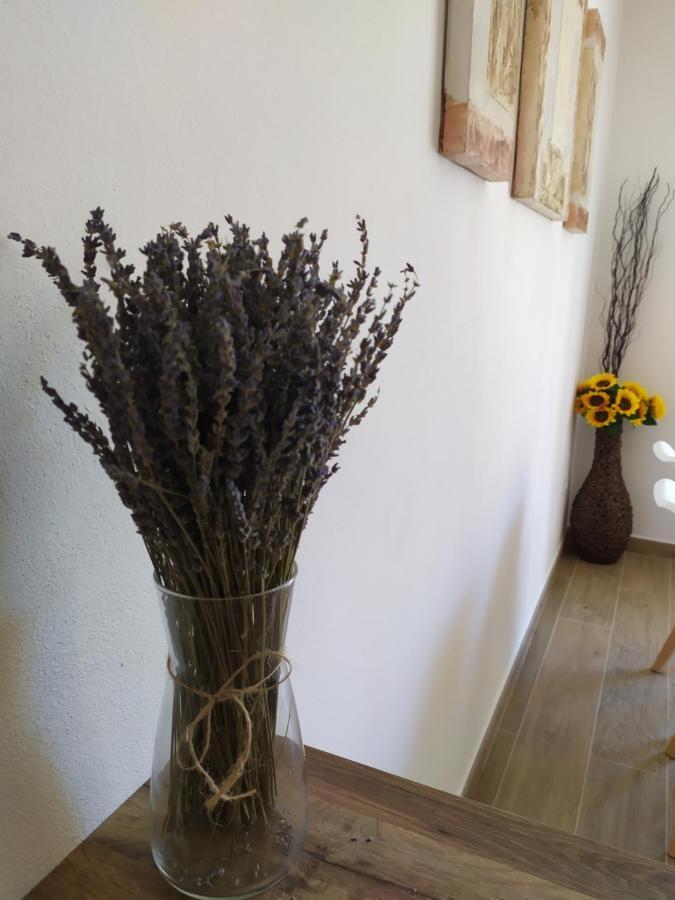Apartamentos Xert Escapadas En Castellon Cerca De Morella Y Peniscola Chert Sant Mateu ภายนอก รูปภาพ